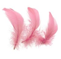 Baby Pink Goose Coquille Feathers x 25