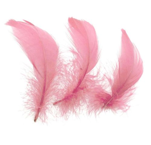 Baby Pink Feathers for arts and crafts