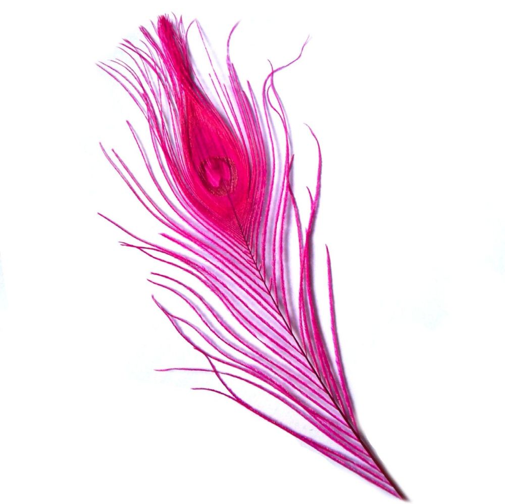 Dark Pink Peacock Eye Tail Feather
