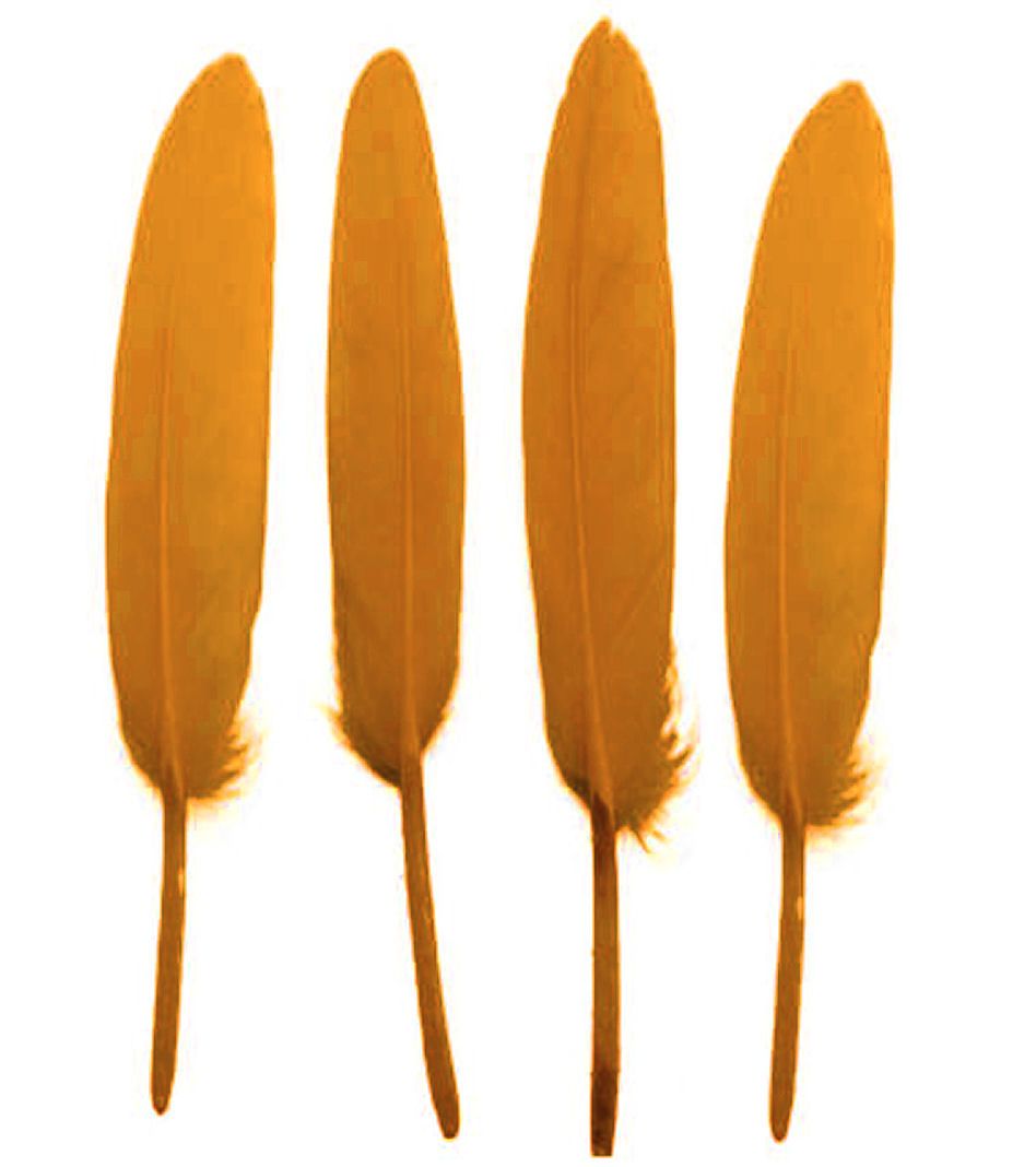 Gold Goose Quill Feathers x 10