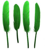 Kelly Green Goose Quill Feathers x 10