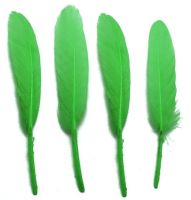 Green Goose Quill Feathers x 10