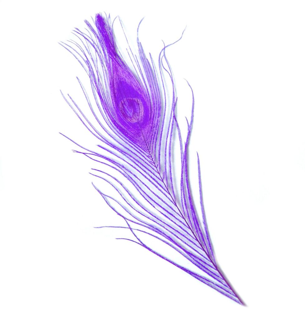 Lilac Peacock Eye Tail Feather