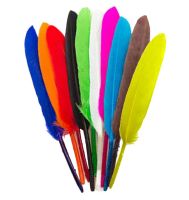 Assorted Goose Quill Feathers x 10