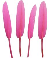 Candy Pink Goose Quill Feathers x 10