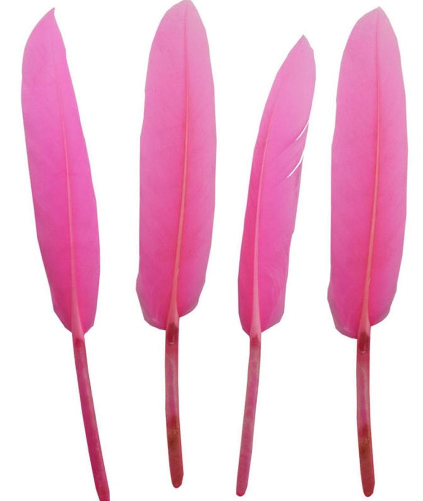 Candy Pink Goose Quill Feathers x 10
