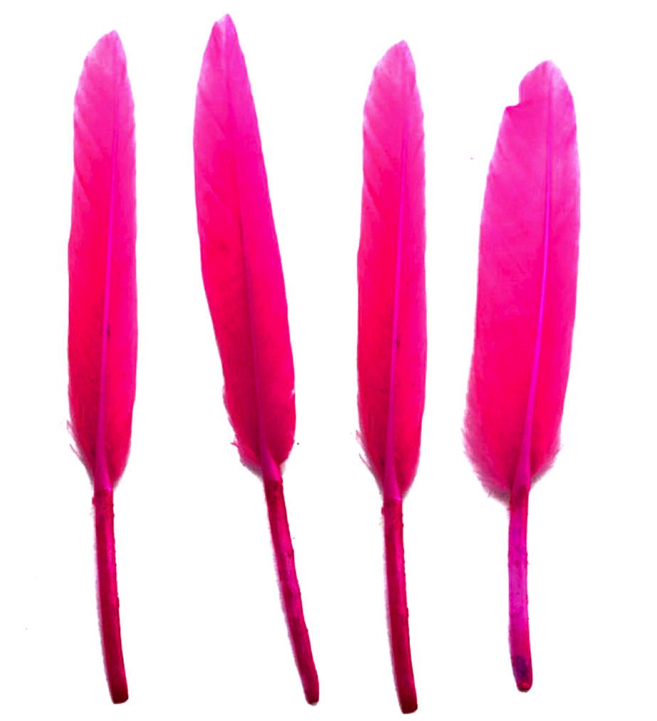 Pink Goose Quill Feathers x 10