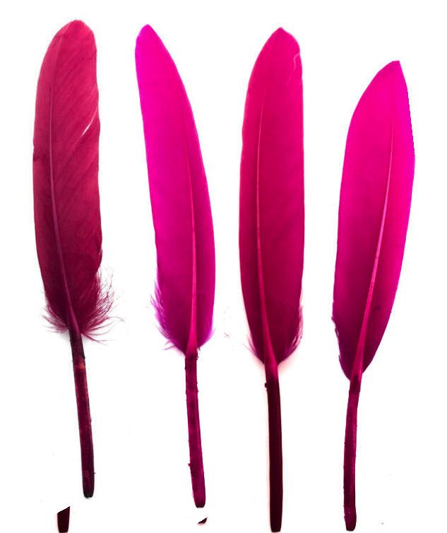 Pinks Goose Quill Feathers x 10