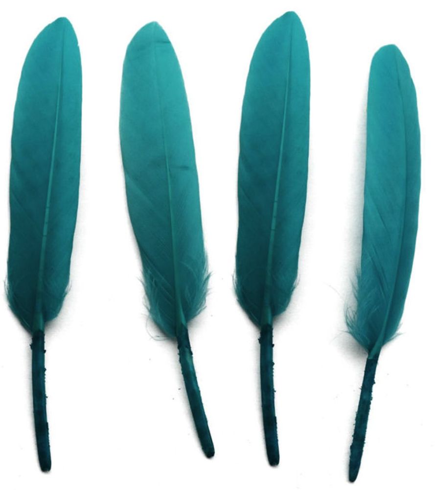 Teal Goose Quill Feathers x 10