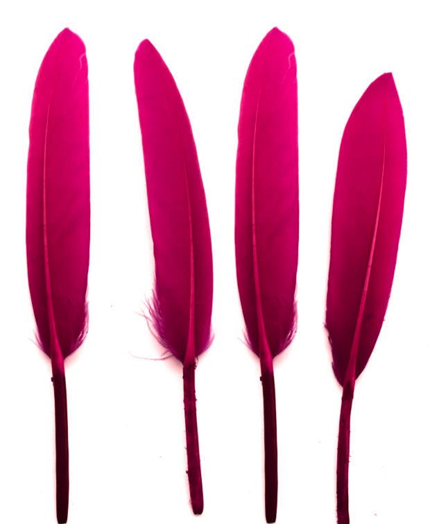 Dark Pink Goose Quill Feathers x 10
