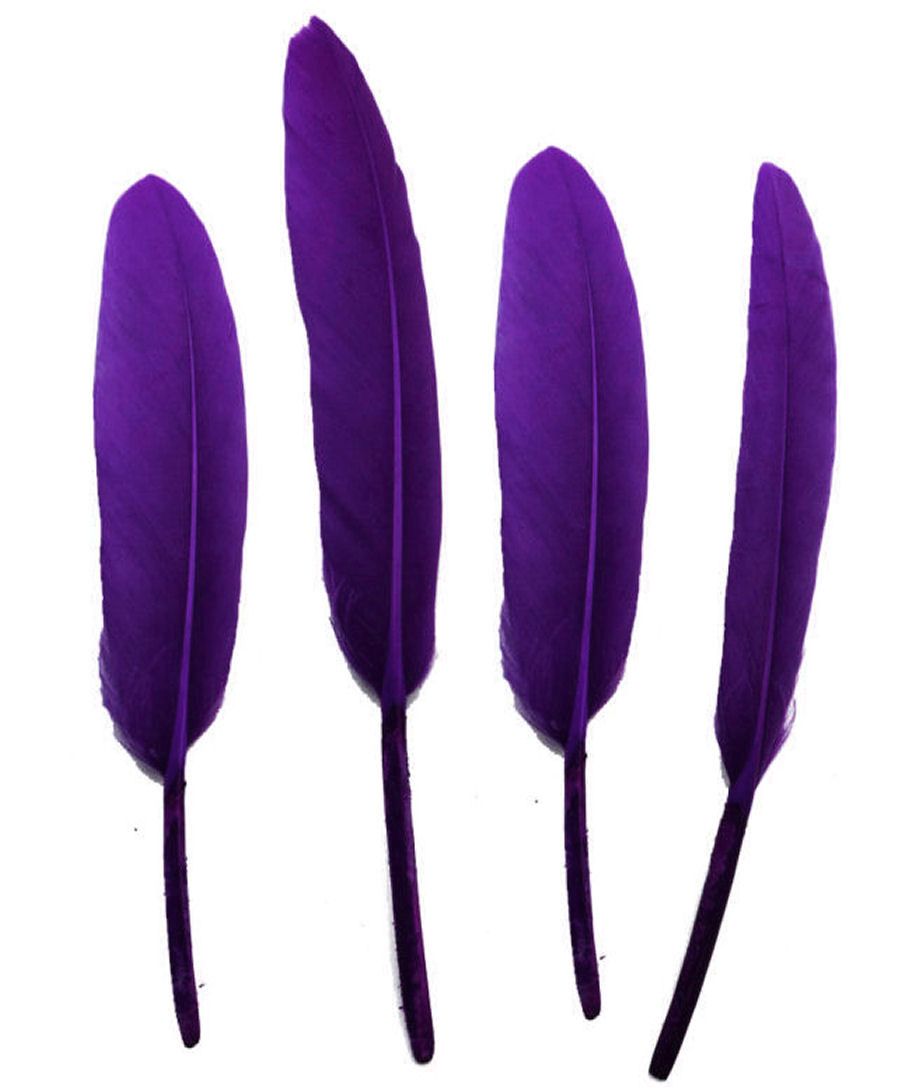 Regal Purple Goose Quill Feathers x 10