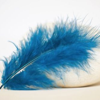 Large Marabou Feathers