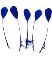 Royal Blue Feathers Stripped Coque Style