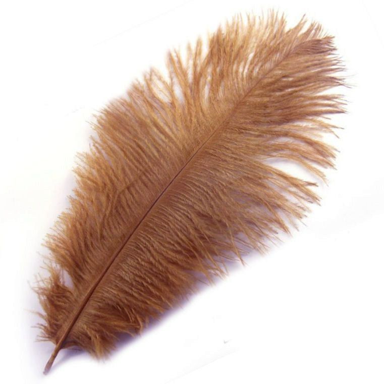 Beige Ostrich Feather