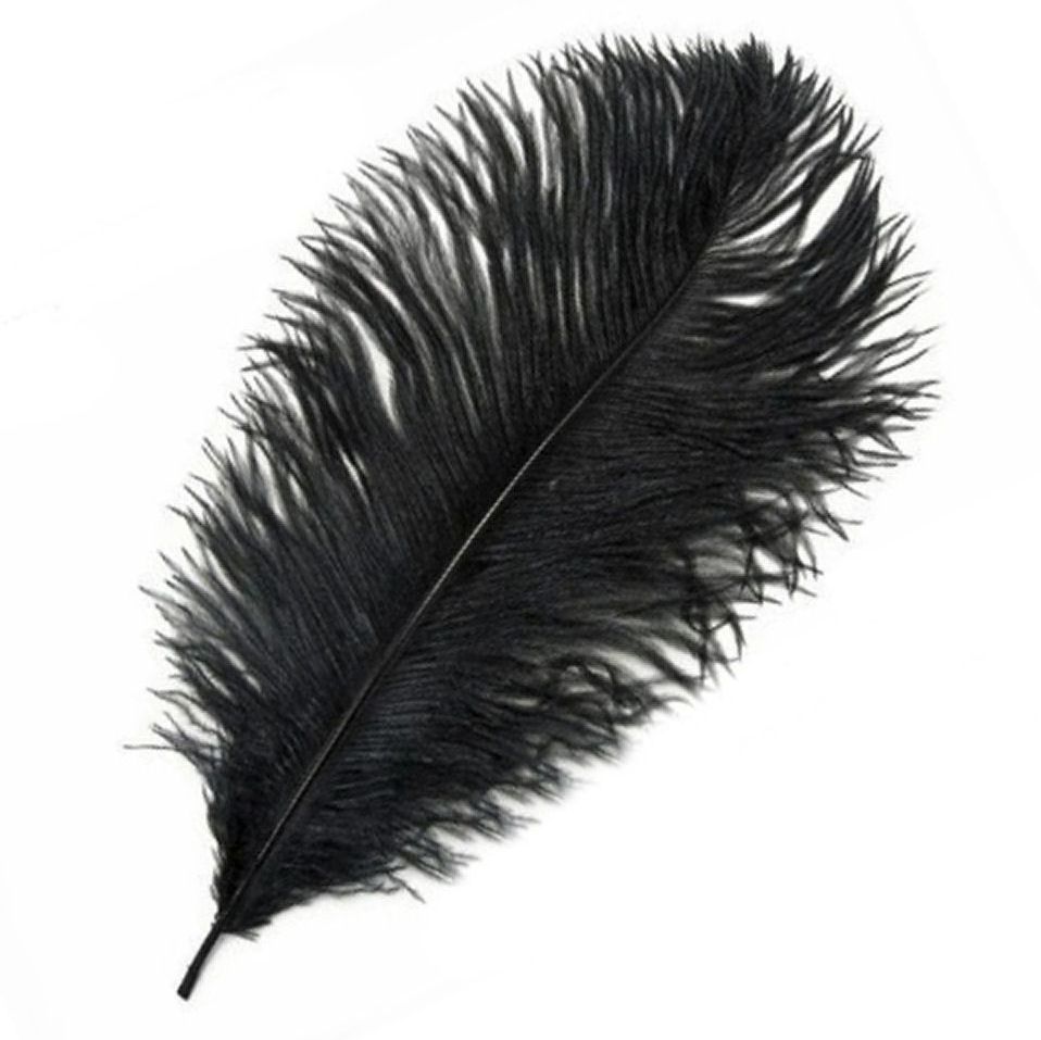 Black Ostrich Feather Large Feathers Feather Planet