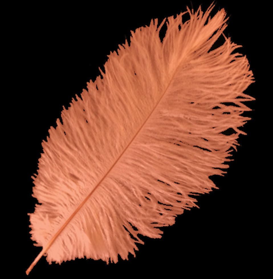 Dark Peach Ostrich Feather