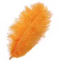 Gold Yellow Ostrich Feather