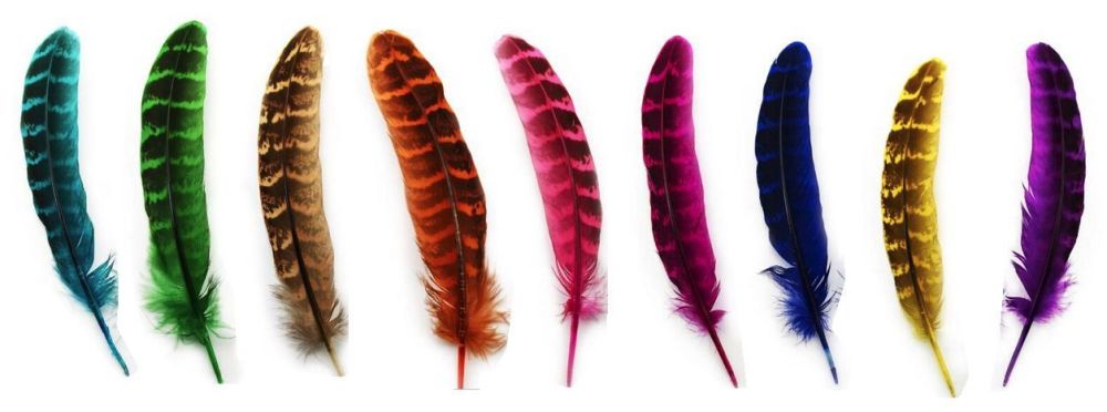 pheasant feathers in assorted shades