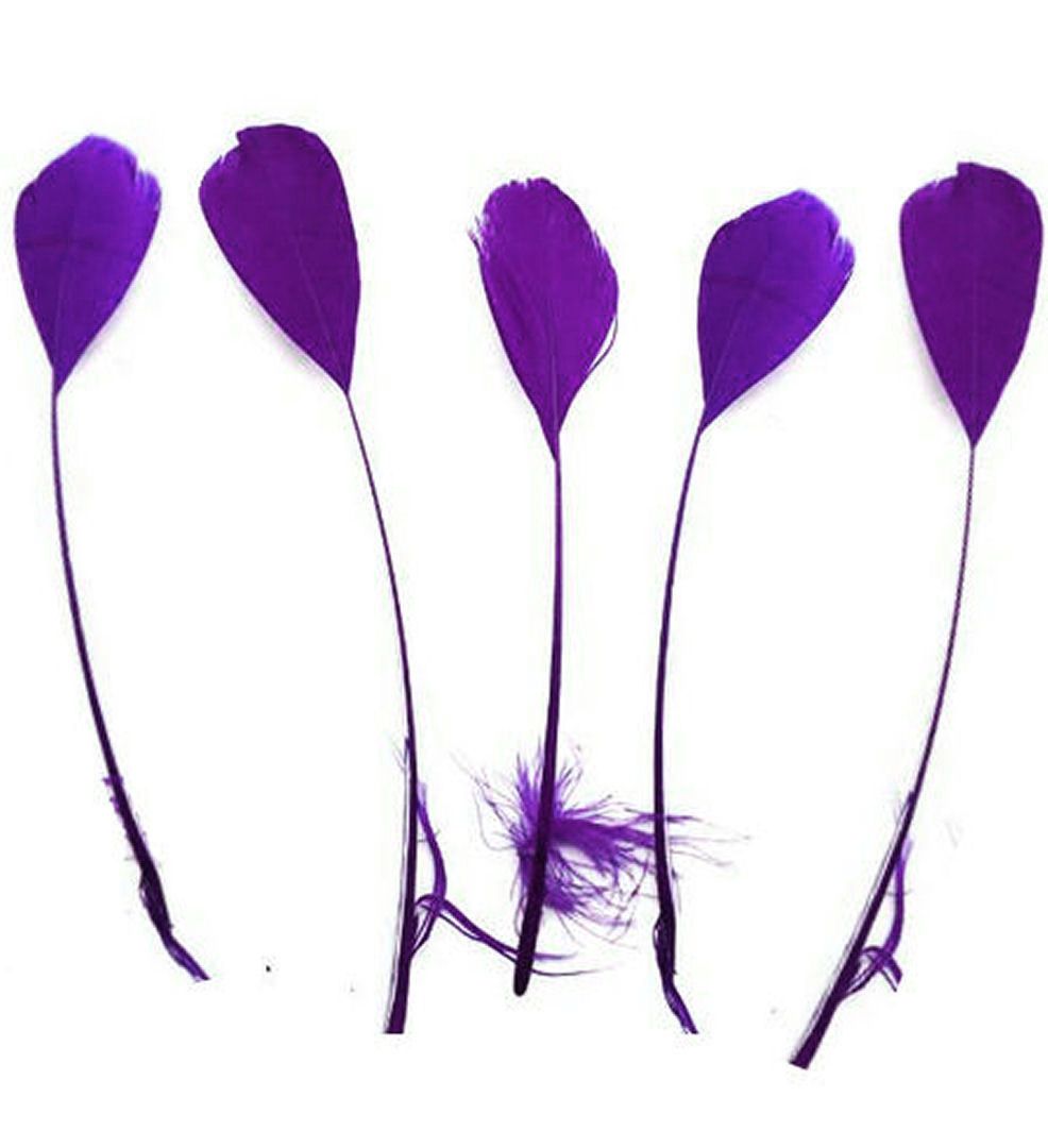Purple Feathers Stripped Coque Style