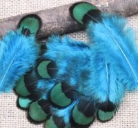 Blue and Green Pheasant Reeves Feathers