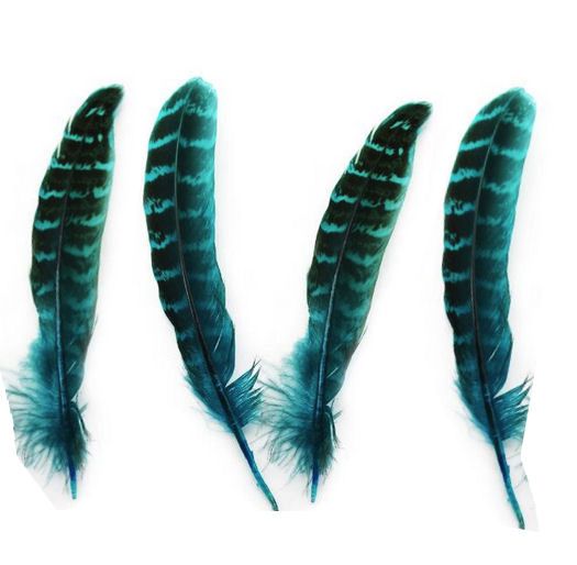 Blue Feather by Wragg