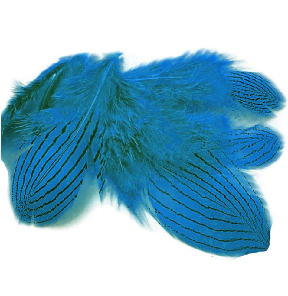 Deep Turquoise Silver Pheasant Feathers x 5