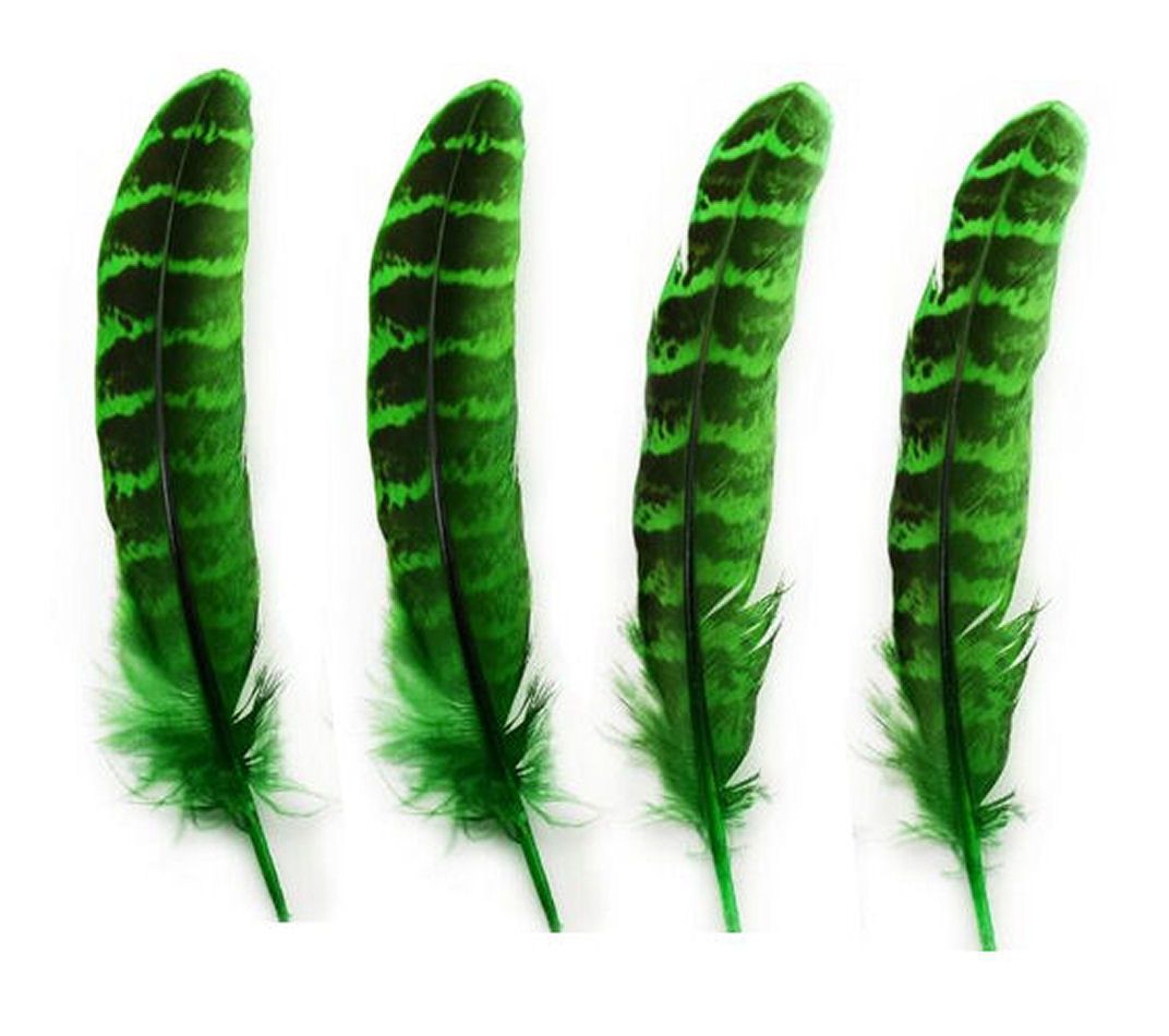 Green Female Ringneck Pheasant Tail Feathers