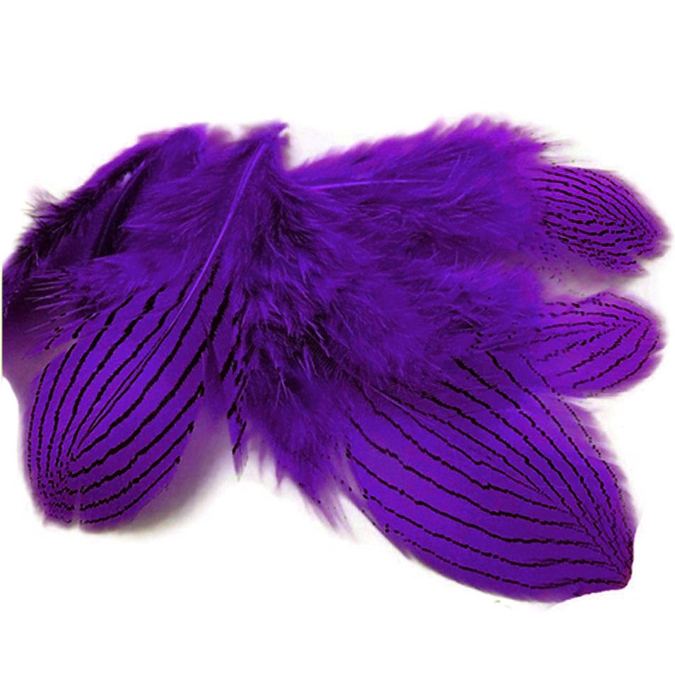 Purple Silver Pheasant Feathers x 5