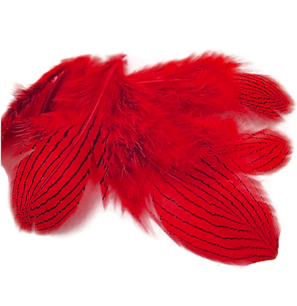 Red Silver Pheasant Feathers x 5