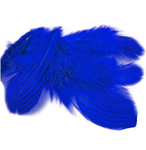 Royal Blue Silver Pheasant Feathers x 5