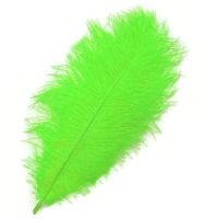 Lime Green Ostrich Feather