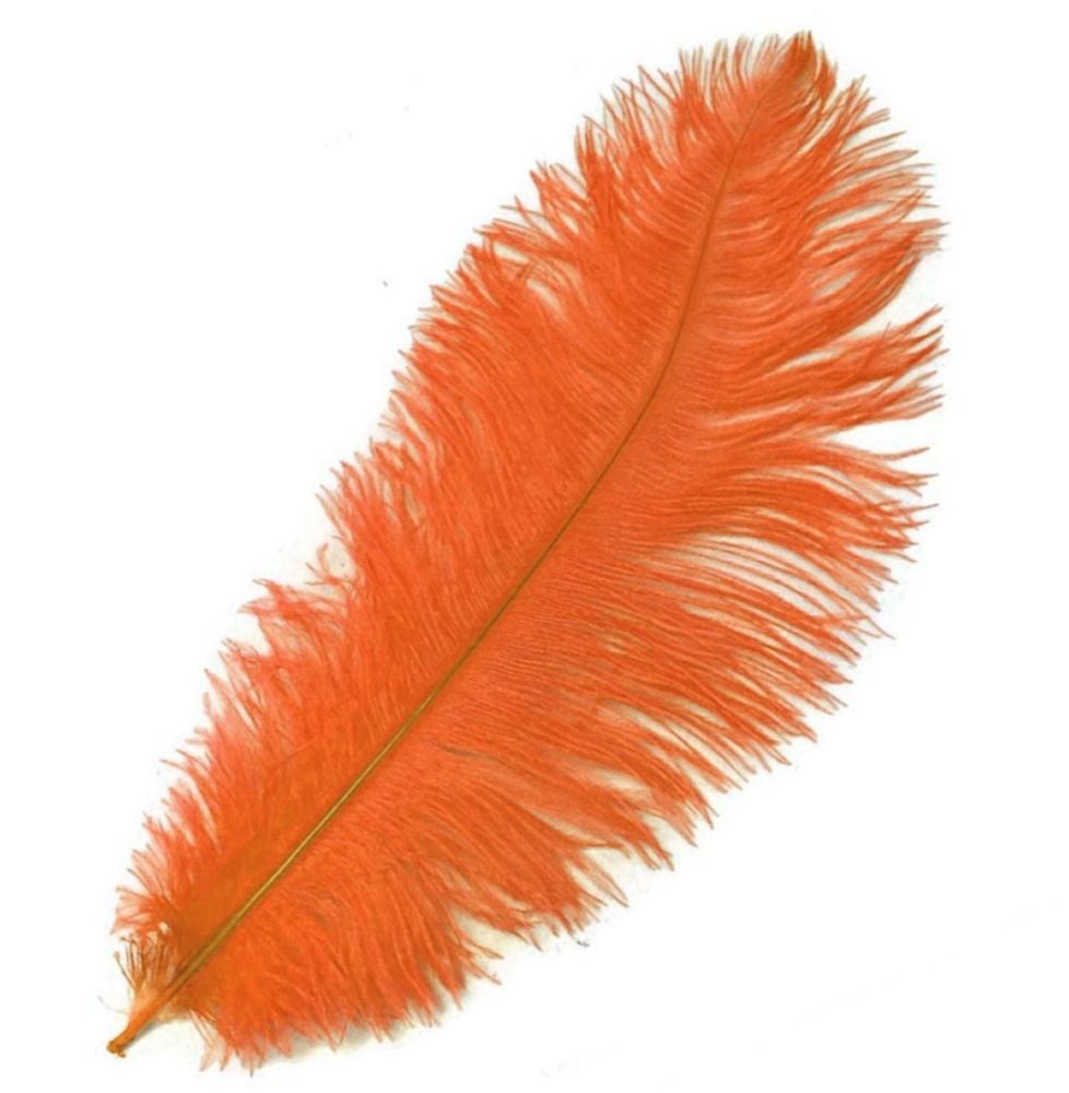 Orange Ostrich Feather