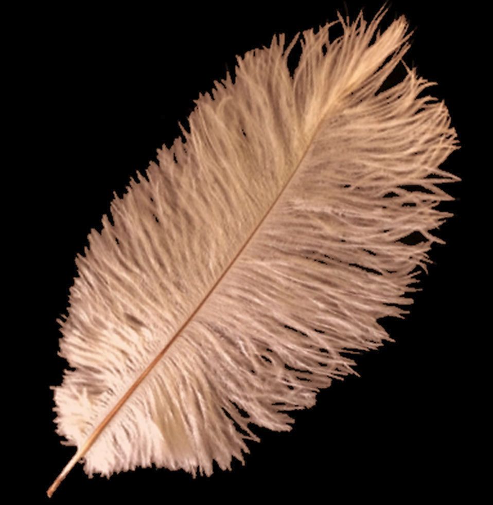 Peach Ostrich Feather