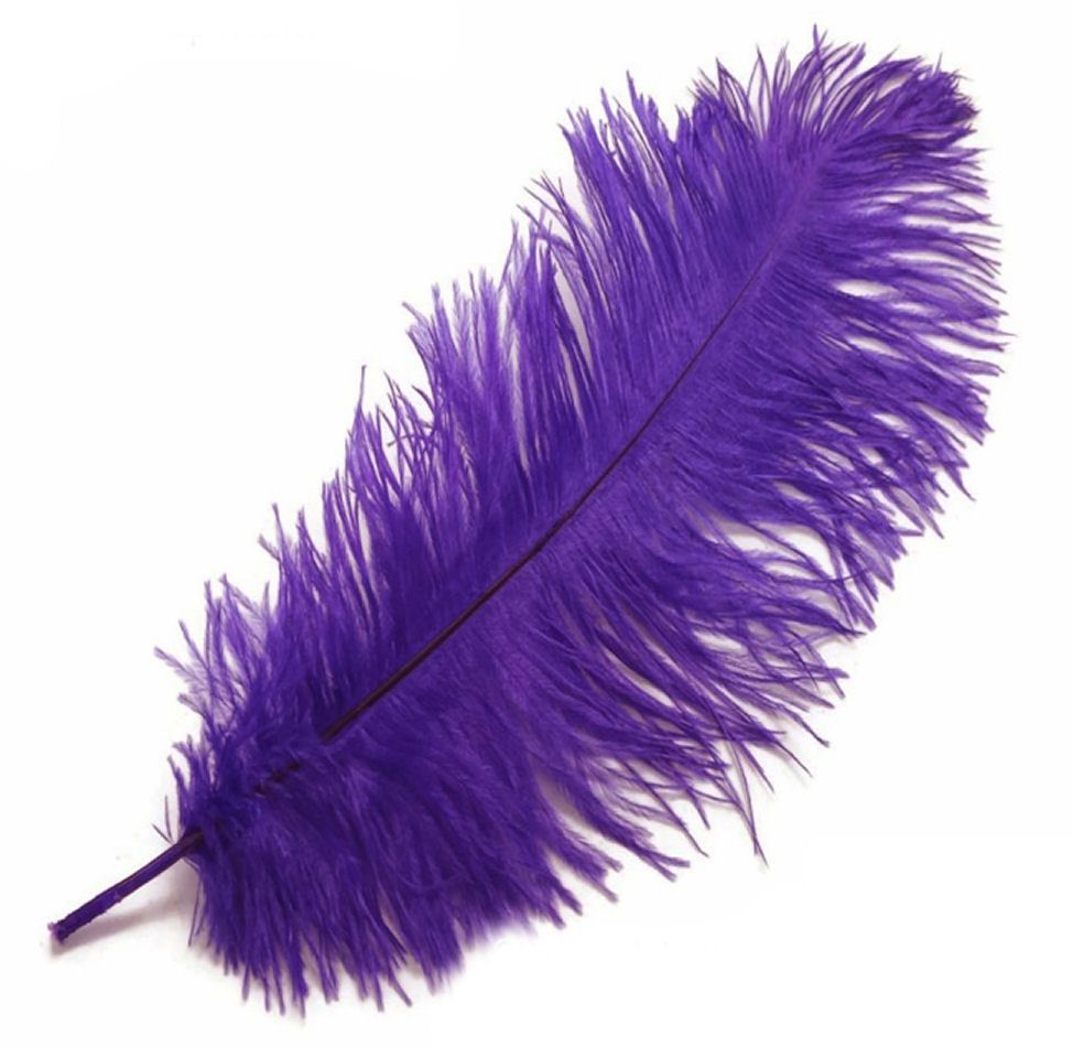 Purple Ostrich Feather