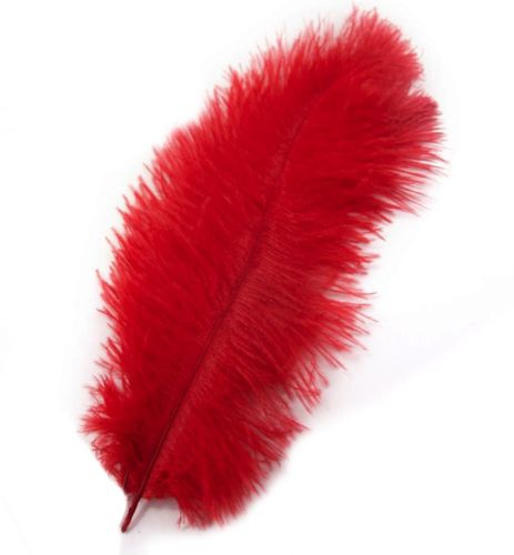 Red Ostrich Drab Feather