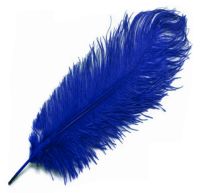Royal Blue Ostrich Feather