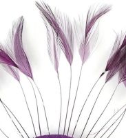 Plum Purple Rooster Feathers Hackles Stripped x 8