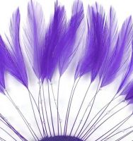 Regal Purple Rooster Feathers Hackles Stripped x 8