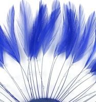 Royal Blue Rooster Feathers Hackles Stripped x 10