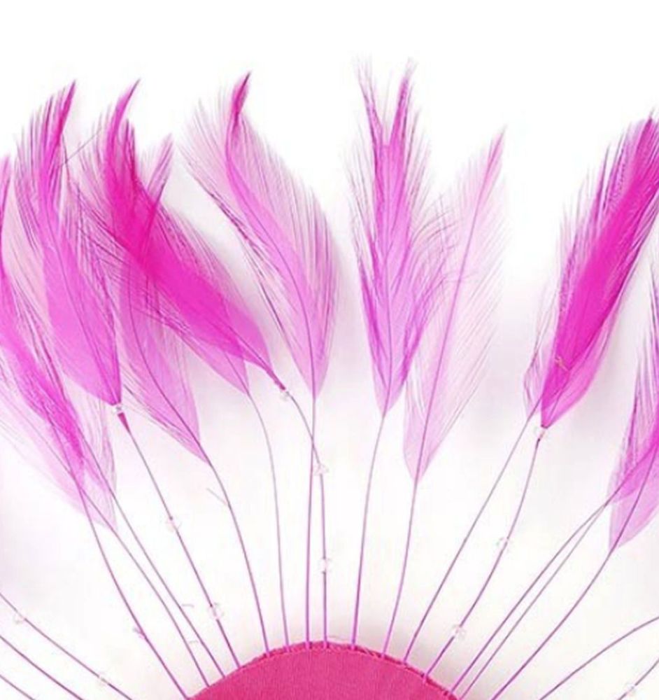 Shocking Pink Rooster Feathers Hackles Stripped x 10