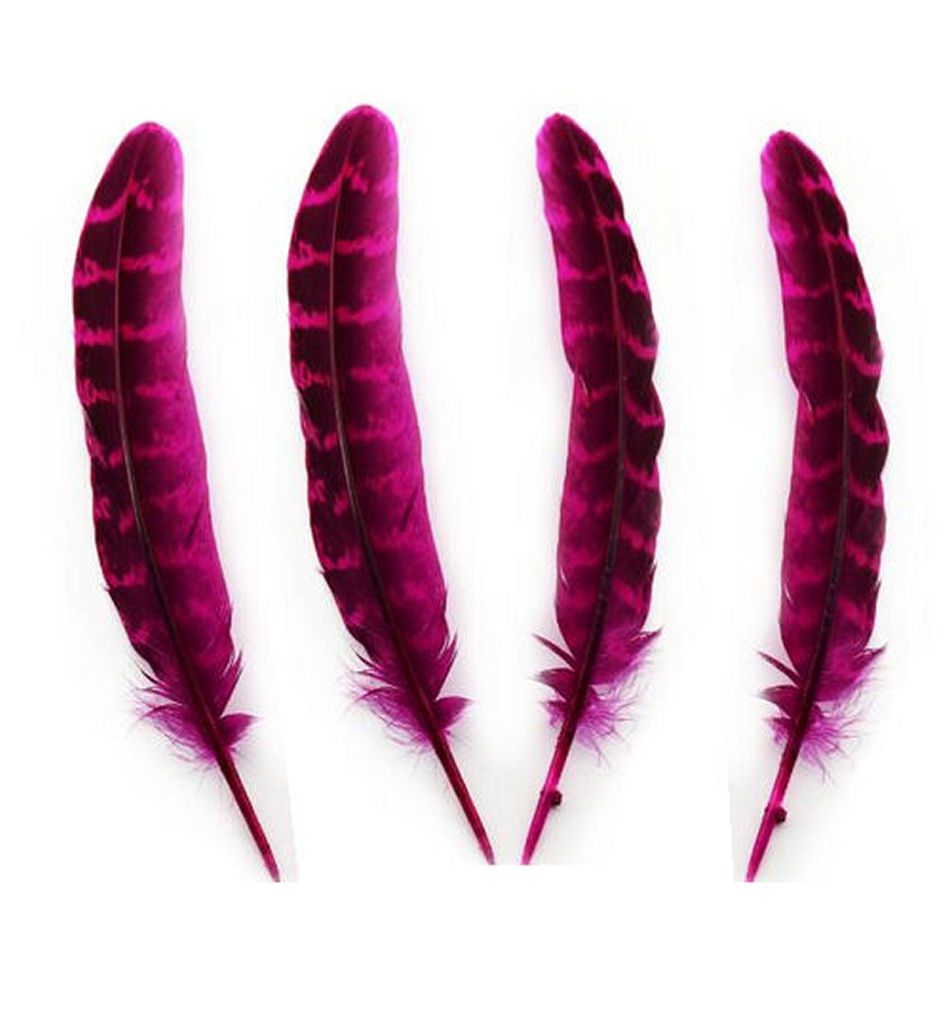 Dark Pink Female Ringneck Pheasant Tail Feathers