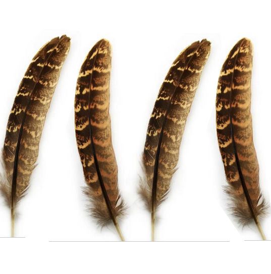 Natural Ringneck Female - Pheasant Feathers