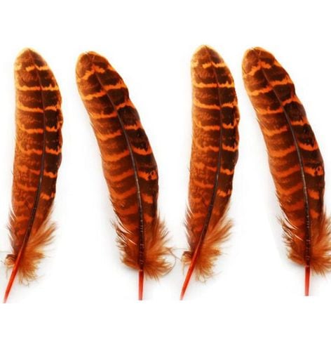 Orange Female Ringneck Pheasant Tail Feathers