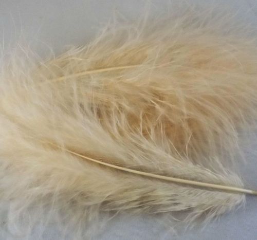 Champagne Marabou Feathers Handpicked x 12