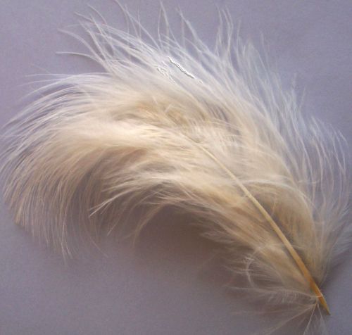 Eggshell Large Marabou Feathers x 20