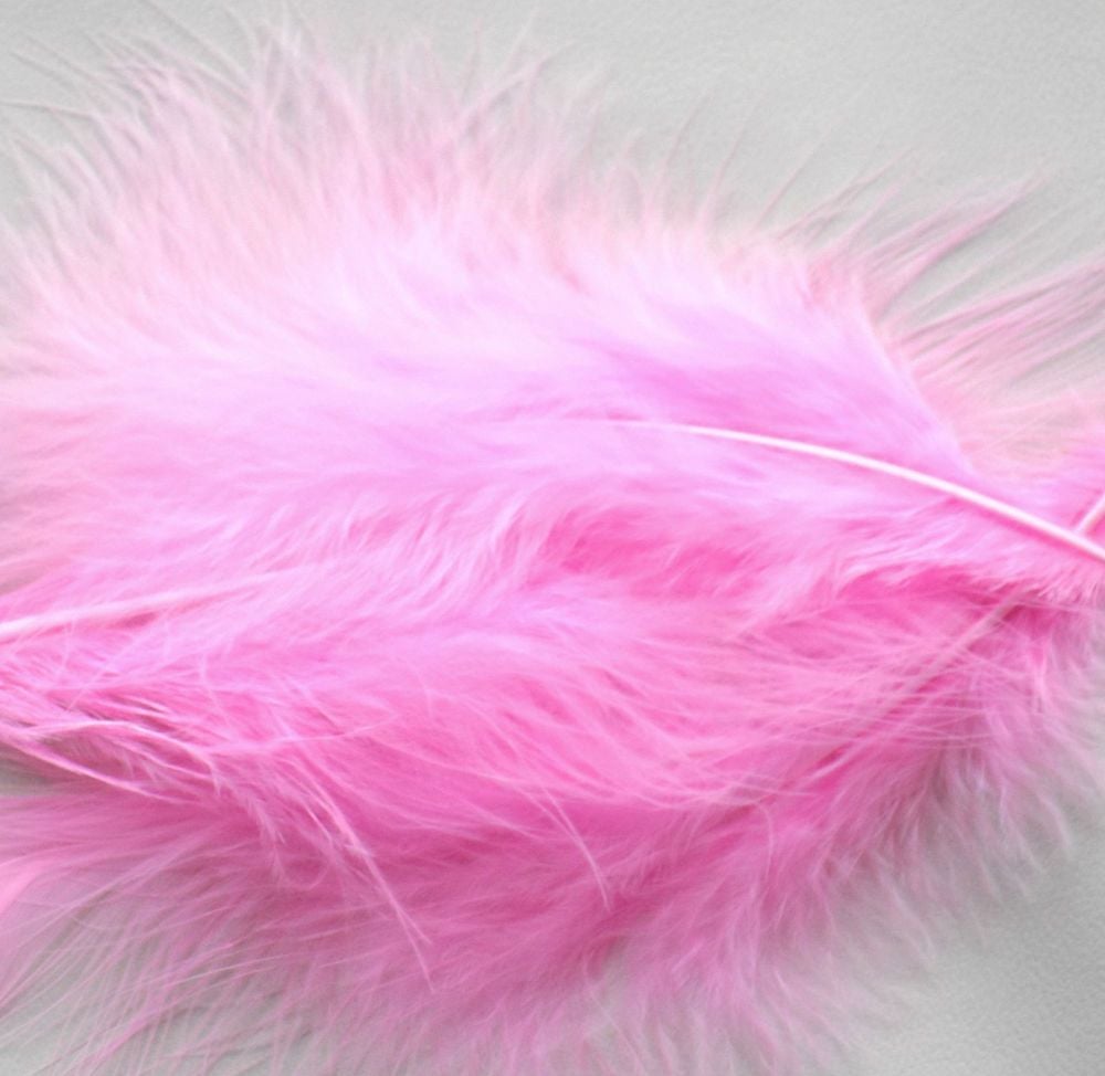 Candy Pink Large Marabou Feathers 