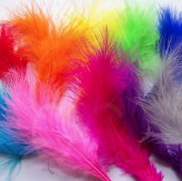 Assorted Large Marabou Feathers 