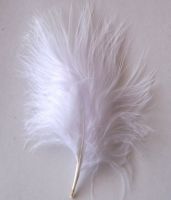 White Marabou Feathers