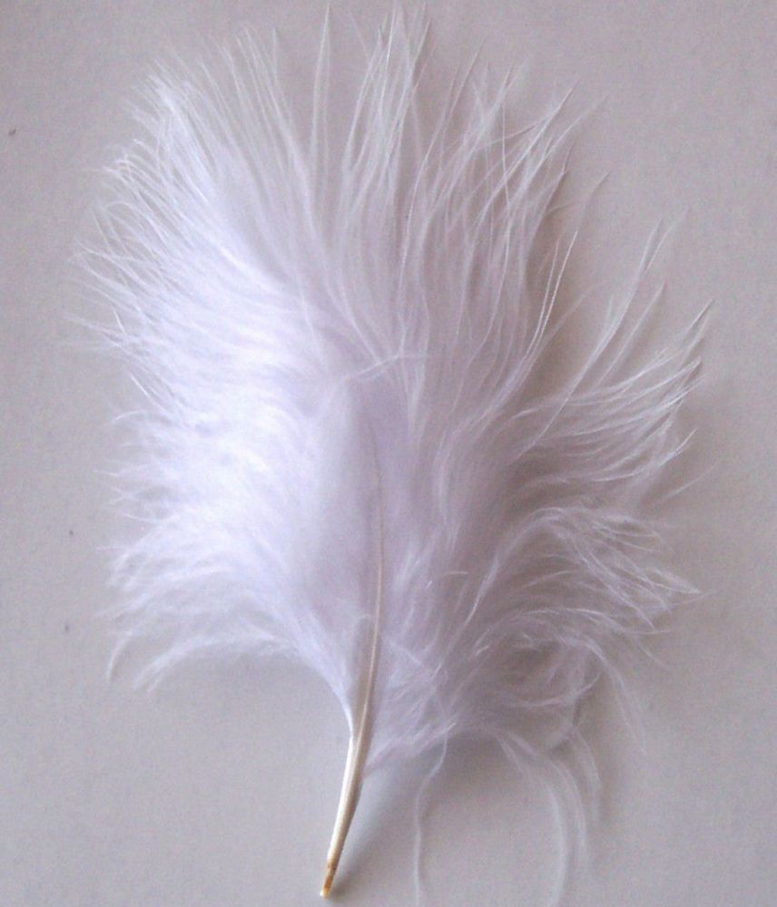 White Marabou Feathers
