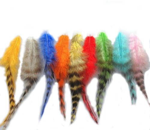 Rooster Saddle Feathers (Grizzly) in Assorted Shades